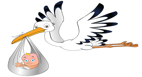 20201230-13-41-56.89_stork-4482222_1920.png