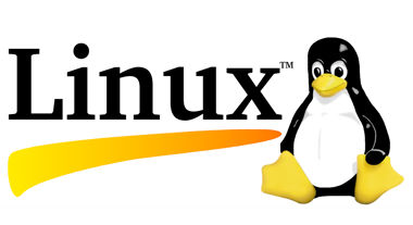 20210122-05-58-36.78_Linux-logo-without-version-number-banner-sized.jpg